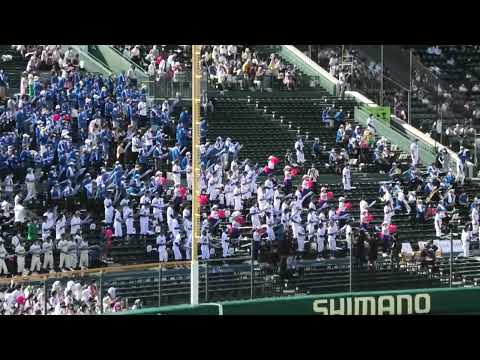 2022夏　明豊スキンヘッドランニング