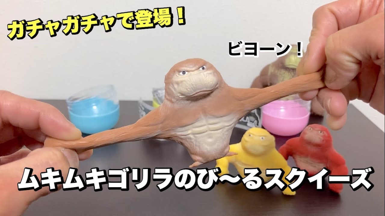 ガチャガチャ】ミニサイズになったゴリラスクイーズ！【ムキムキゴリラ