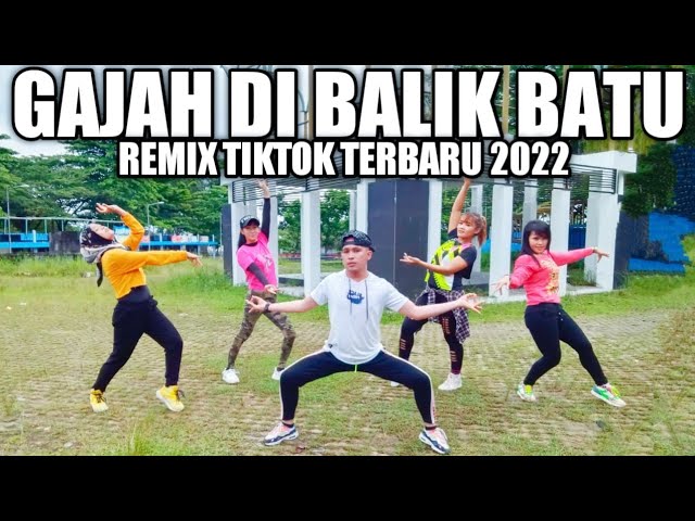 DJ ADA GAJAH DI BALIK BATU | SENAM REMIX TERBARU 2022 class=
