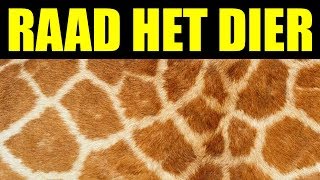 Kan jij deze 10 dieren raden?