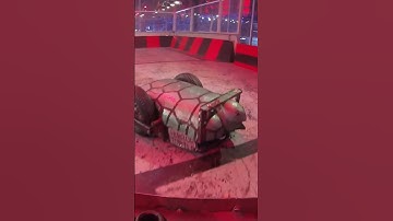 POV: Shunt regrets his actions