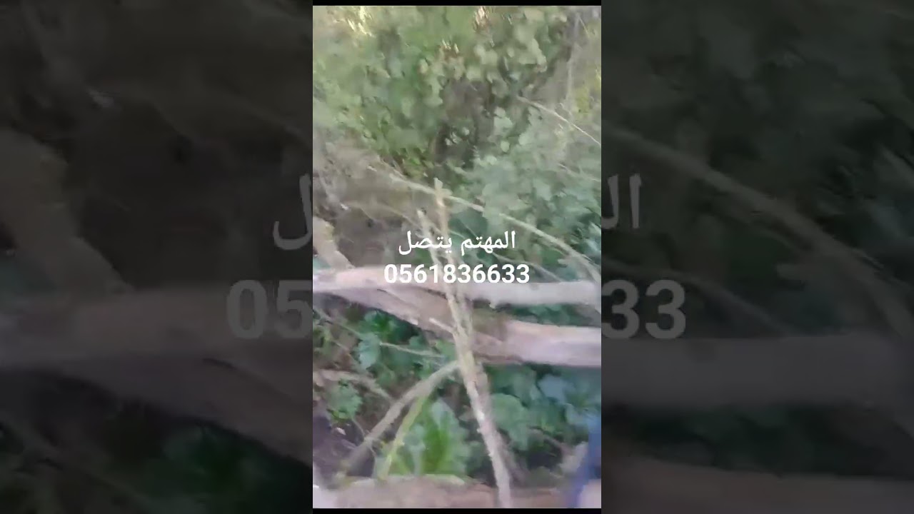 مضخة الماء بدون كهرباء هدية للفلاحين