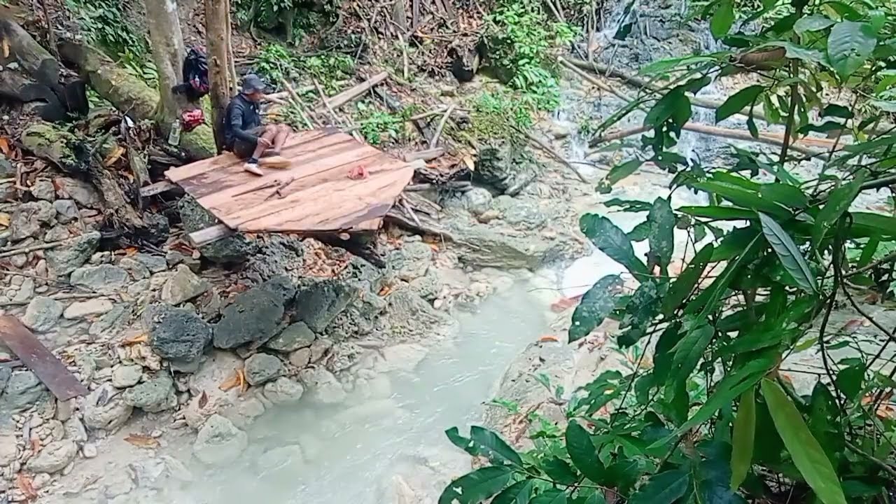 solo camping di tepi sungai membuat tempat berlindung di batang kayu || bushcraft