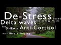 De-Stress Sound without Music│Brain Wave│Delta Wave│DHEA Hormone│Anti-Cortisol│Stress Relief│Study