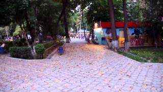 Autumn in Bishkek: Leafy Barrage