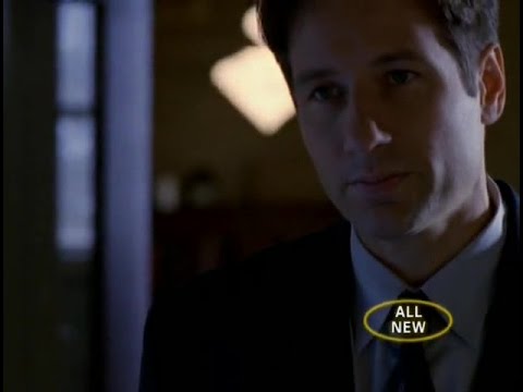 X-akták - Gyökerek