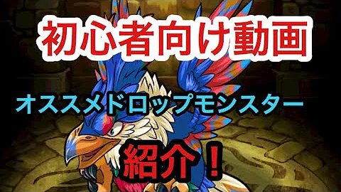 ポコダン 初心者 ポコダン 初心者