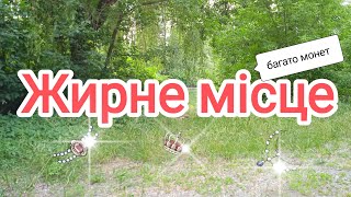 Жирне місце в місцевому парку, багато монет, дореформа.