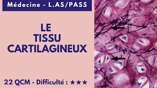 LE TISSU CARTILAGINEUX