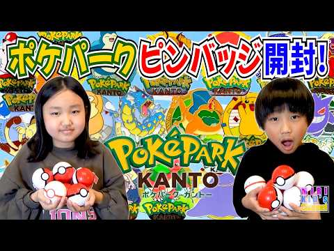 PokePark❗️] Unboxing a huge amount of pin badges❗️ - YouTube