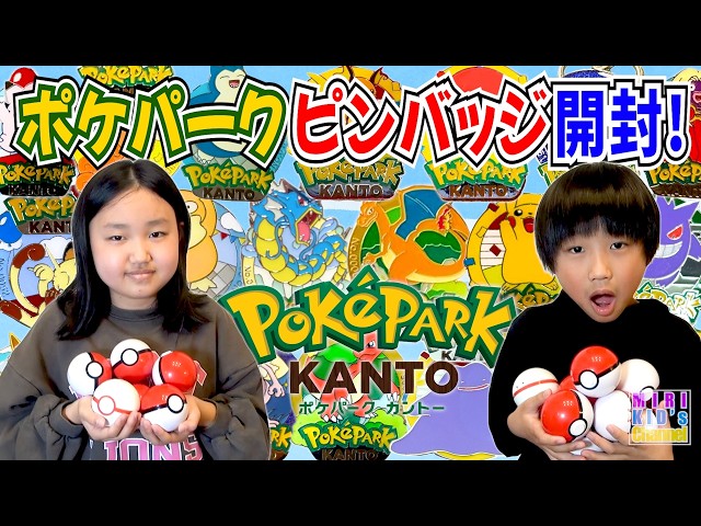 PokePark❗️] Unboxing a huge amount of pin badges❗️ - YouTube