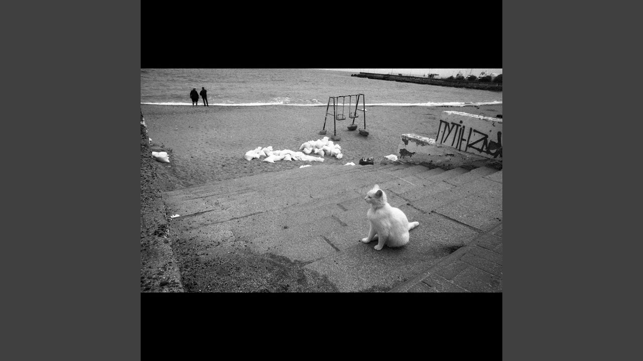 Watch Magic Room on YouTube Watch Magic Room on YouTube