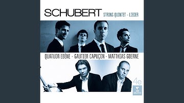 String Quintet in C Major, Op. 163, D. 956: IV. Allegretto - Più allegro