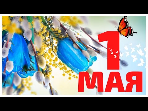 Поздравление с 1 МАЯ ! 🌸🌸🌸Красивое поздравление с Первомаем ! Мир,труд,май.🎈🎈🎈