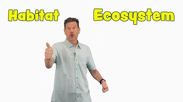 What is an ecosystem and how is it different from a habitat?