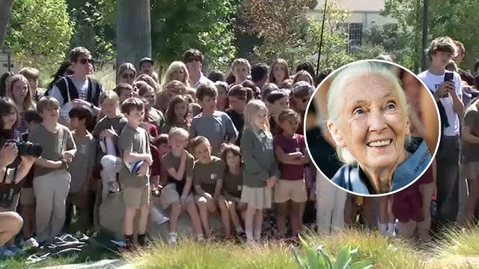 Crowd waiting for Jane Goodall 'shocked' to learn of death