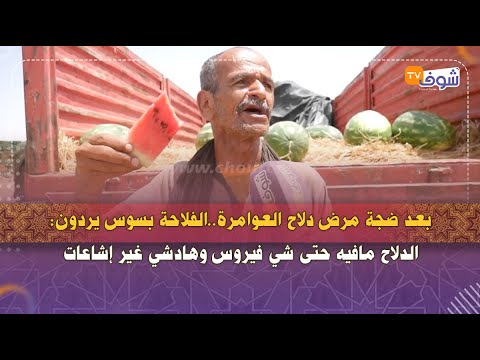 بعد ضجة مرض دلاح العوامرة الفلاحة بسوس يردون الدلاح مافيه حتى شي فيروس وهادشي غير إشاعات