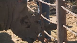 Save His Home Or His Animals: Wildfire Forces Painful Choice