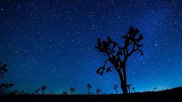 Joshua Tree TImelapse