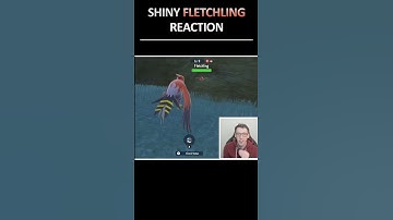 FULL ODDS Random Shiny! ✨