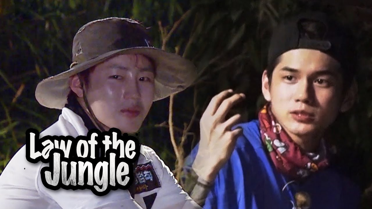 What Song By Wanna One Suits The Jungle Law Of The Jungle Ep 328