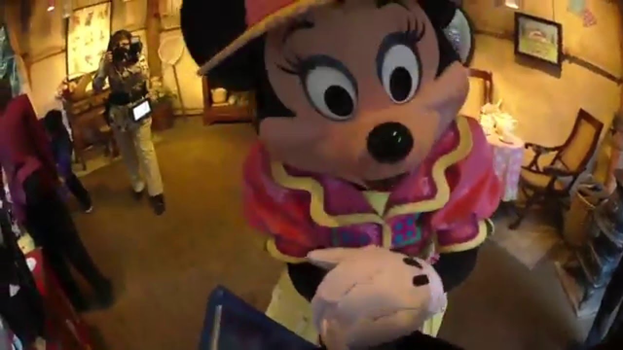 ミニーちゃんに写真をプレゼントしてみました(⌒▽⌒〃)♪