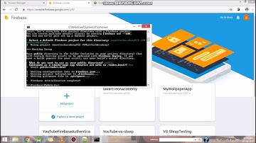 Firebase Hosting Deploying and Connect your own Domain for Godaddy