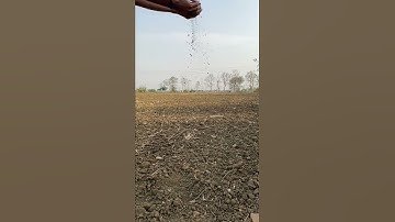 #iphone || iPhone 12 camera slow motion video 🔥