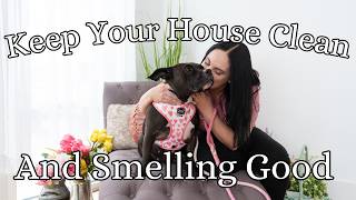 How To Keep Your House Clean & Smelling Good With Dogs