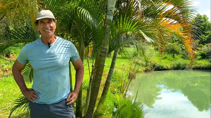 VICTOR FASANO DESENVOLVE UM RESTAURANTE PARA ANIMA...