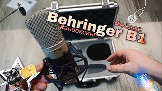 картинка: Достаточно ли Вы знаете о Behringer B1 ?