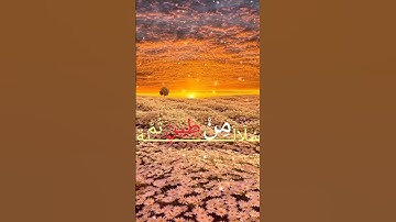 قران كريم راحه نفسيه #القرآن_الكريم  #اللهم_صل_وسلم_على_نبينا_محمد