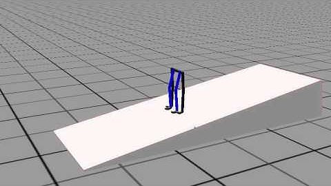 Simulation Of a Passive Dynamic Walker