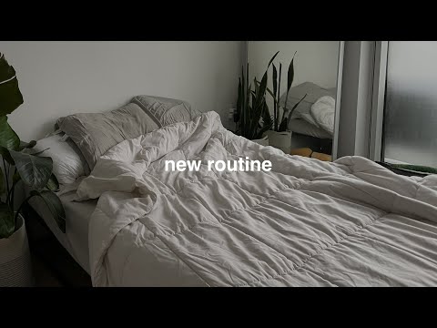 our new daily routine: adjusting to new lifestyle changes