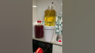 How to Use the MonsterBrite Plate Filter with an Easy Siphon