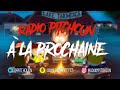 Le retour de la radio piitchouun  19202022