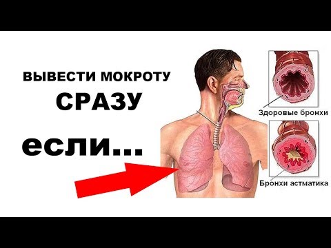 ОЧИСТКА ЛЁГКИХ СТАЛО ДОСТУПНЫМ применив....