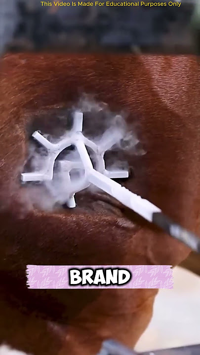 Have you seen a tattoo method like this🤯 #short #have #seen #tattoo #like #youtubeshorts #facts