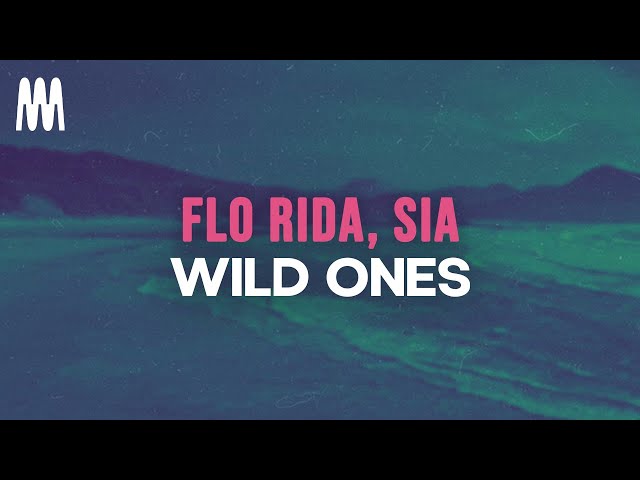 Flo Rida feat. Sia - Wild Ones (Lyrics) class=