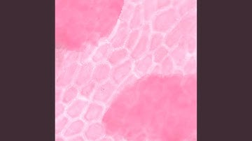 Pulsating Backdrops for Spring and Wellness