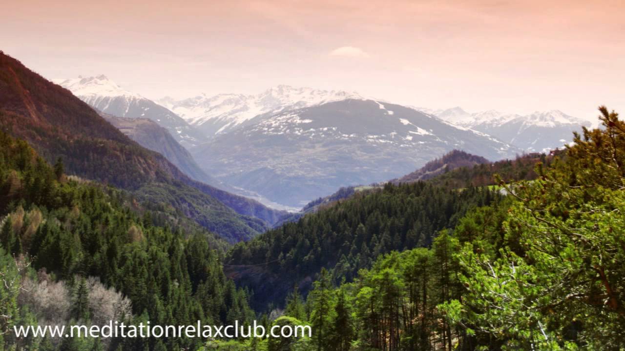 8 HOURS Shamanic Meditation Music with Healing Sounds for Positive Thinking, Stress Relief, Anxiety study music for kids