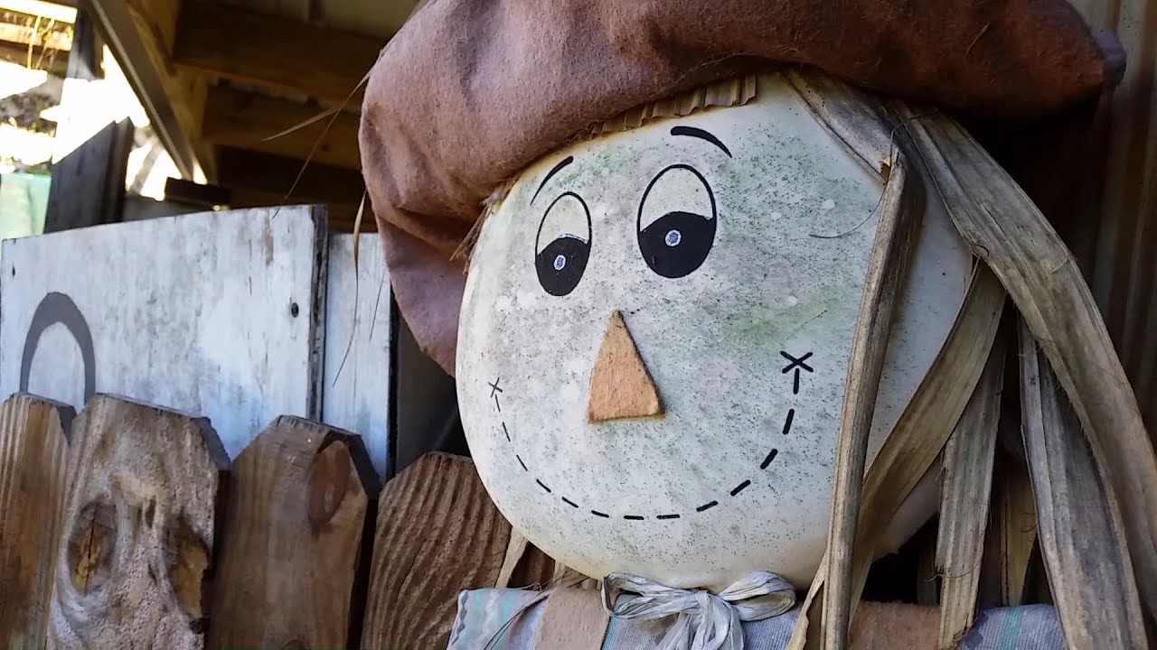 Zellwood Corn Maze YouTube