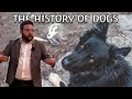The history of dogs evolution archaeology and mythology  full lecture university of wyoming