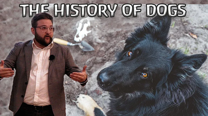 The History of Dogs: evolution, archaeology, and mythology | Full lecture (University of Wyoming) - DayDayNews