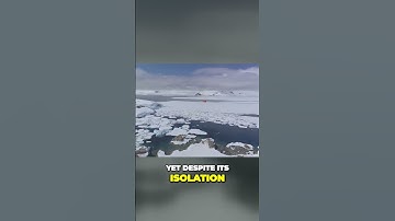 Unveiling the Captivating and Terrifying Secrets of Antarctica #trending #viral #shortsfeed #mystery