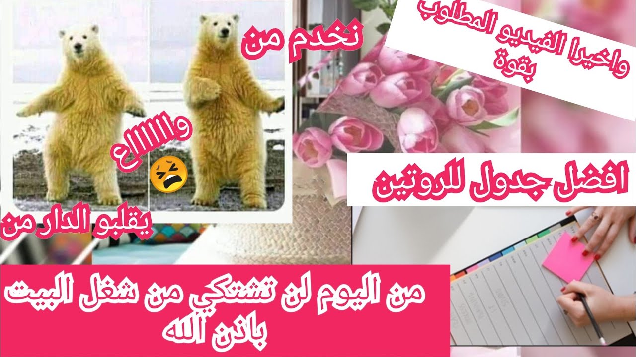 لن تشتكي أبدا من اشغال البيت بعد مشاهدة هذا الفيديو .افضل جدول للقيام بمهامك