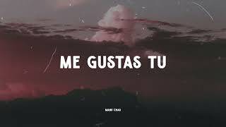 Manu Chao - Me Gustas Tu (Music Video Lyrics)
