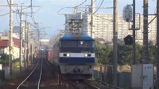 JR貨物 EF210-9号機(吹田)+コキ26両 貨物列車8056レ 2020.04.11