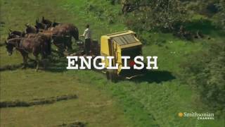 Multimodal project: Amish, OH