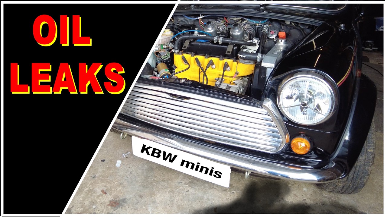 Mini 30 Front end oil leak repairs.